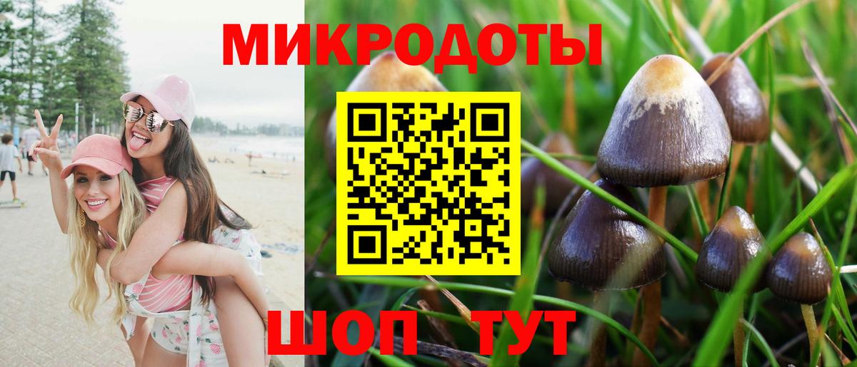 Псилоцибиновые грибы мицелий  Вход с VPN  Георгиевск 
